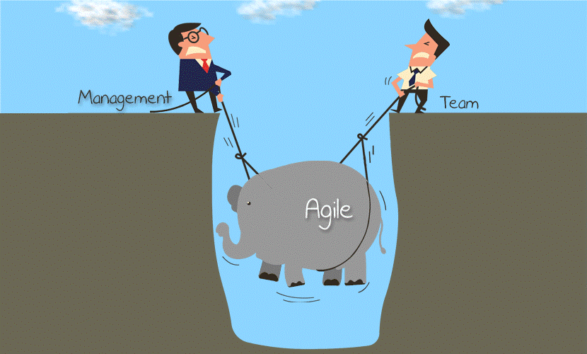 Юмористические проекты. Шутки про Agile. Agile прикол. Управление проектами шутка. Шутки про менеджмент.